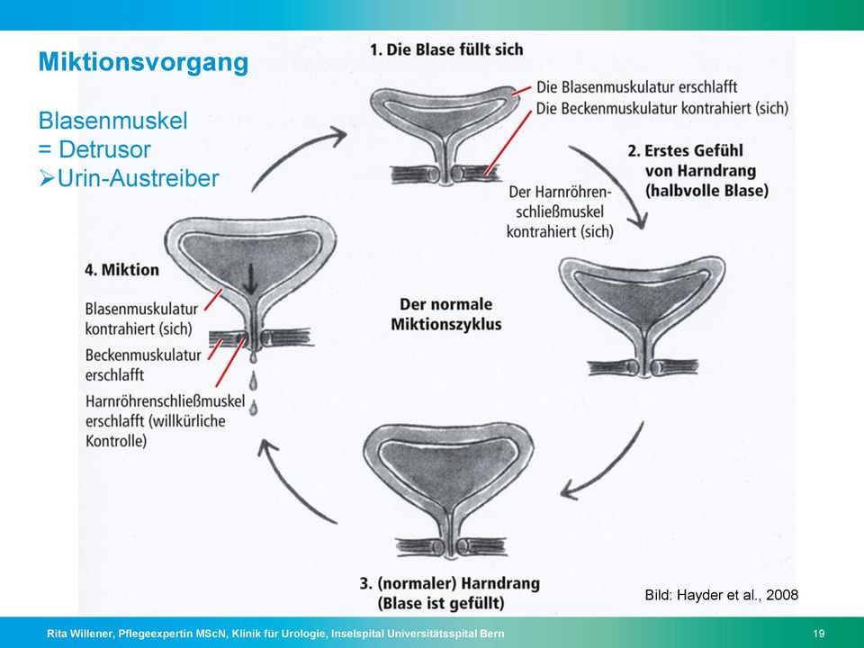 , 2008 Rita Willener, Pflegeexpertin MScN,