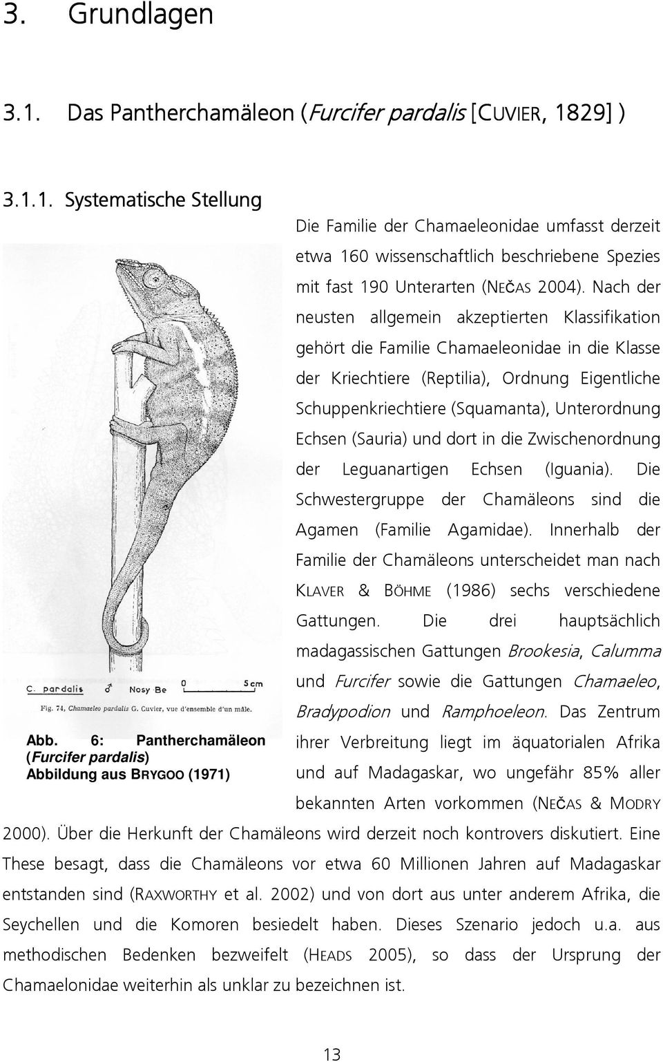 Nach der neusten allgemein akzeptierten Klassifikation gehört die Familie Chamaeleonidae in die Klasse der Kriechtiere (Reptilia), Ordnung Eigentliche Schuppenkriechtiere (Squamanta), Unterordnung