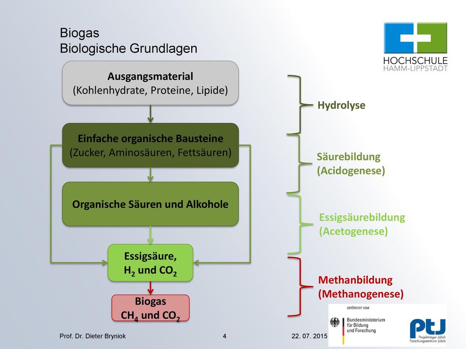 (Acidogenese) Organische Säuren und Alkohole Essigsäure, H 2 und CO 2 Biogas CH 4 und CO