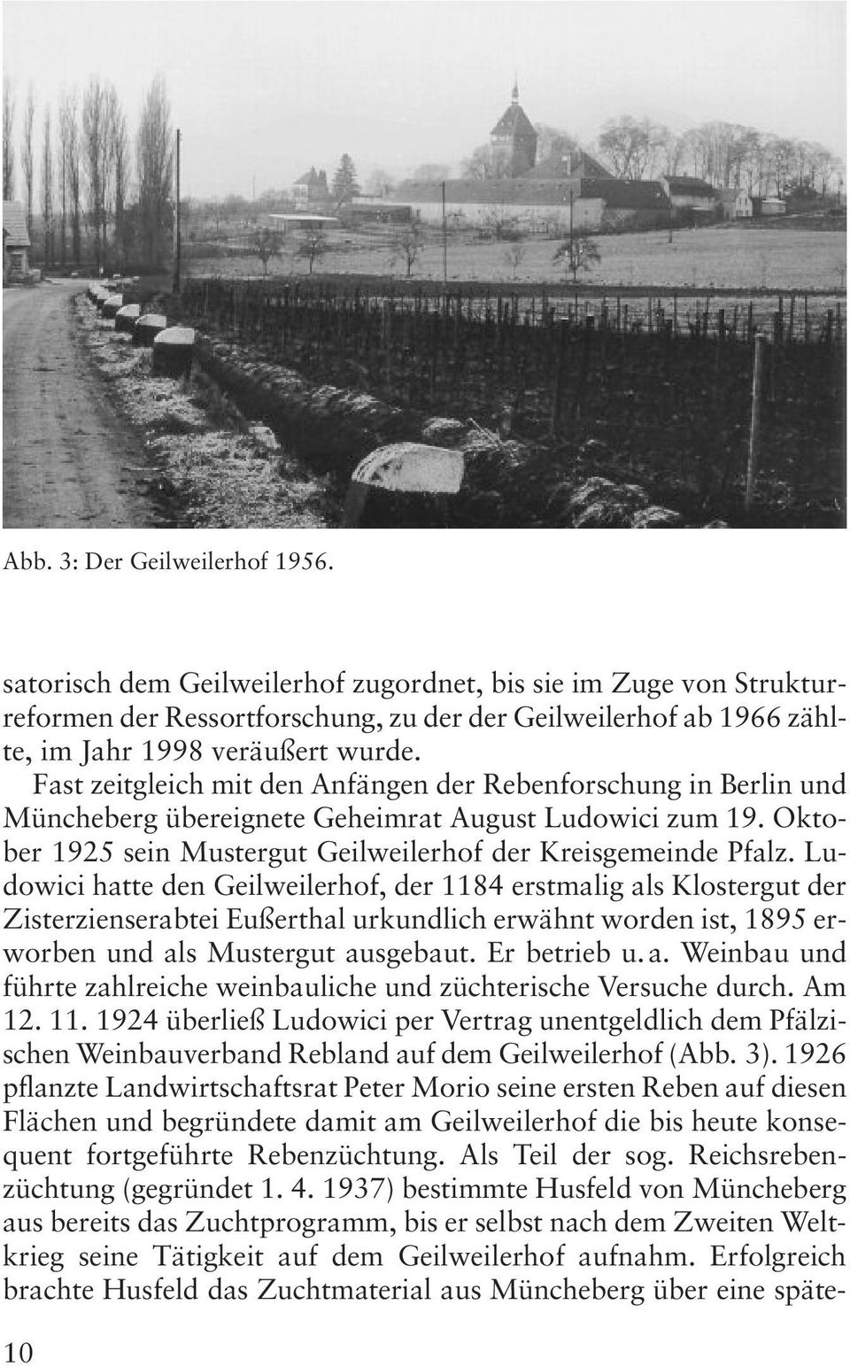 Ludowici hatte den Geilweilerhof, der 1184 erstmalig als Klostergut der Zisterzienserabtei Eußerthal urkundlich erwähnt worden ist, 1895 erworben und als Mustergut ausgebaut. Er betrieb u. a. Weinbau und führte zahlreiche weinbauliche und züchterische Versuche durch.