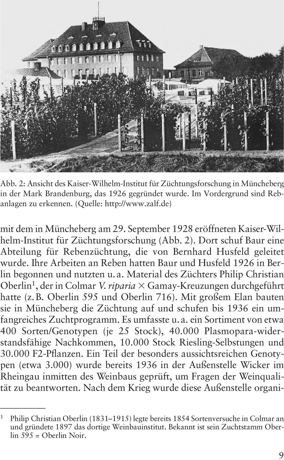 Dort schuf Baur eine Abteilung für Rebenzüchtung, die von Bernhard Husfeld geleitet wurde. Ihre Arbeiten an Reben hatten Baur und Husfeld 1926 in Berlin begonnen und nutzten u. a. Material des Züchters Philip Christian Oberlin 1, der in Colmar V.