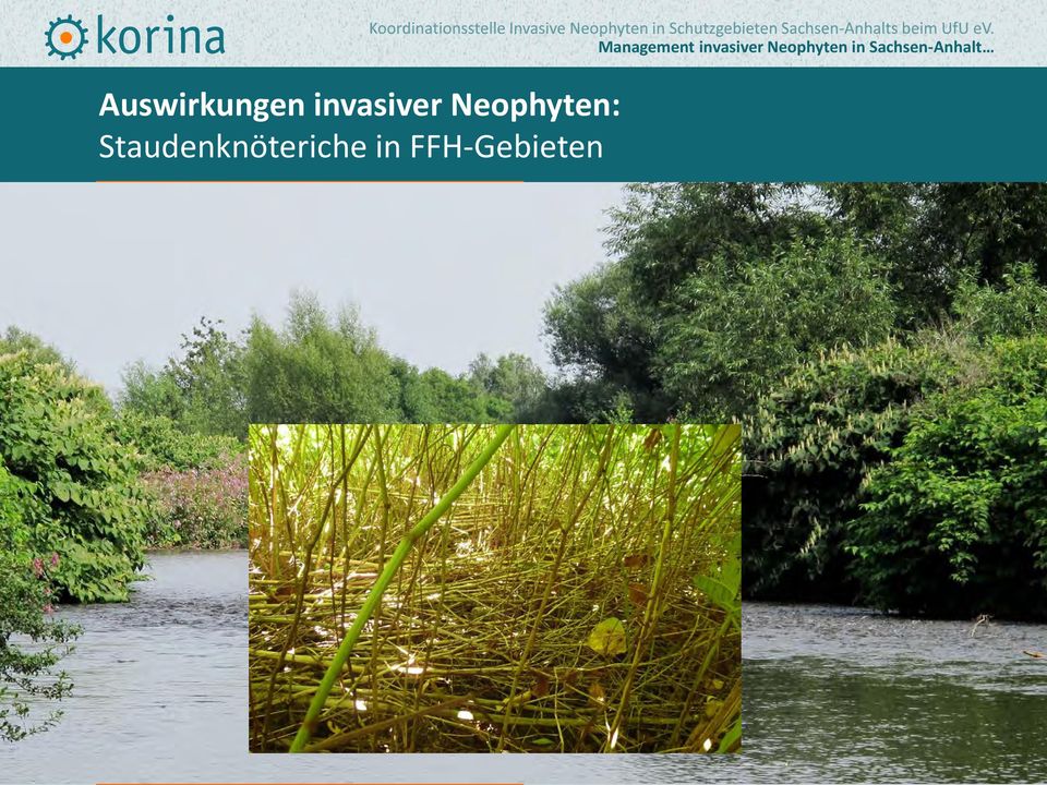 in FFH-Gebieten Management