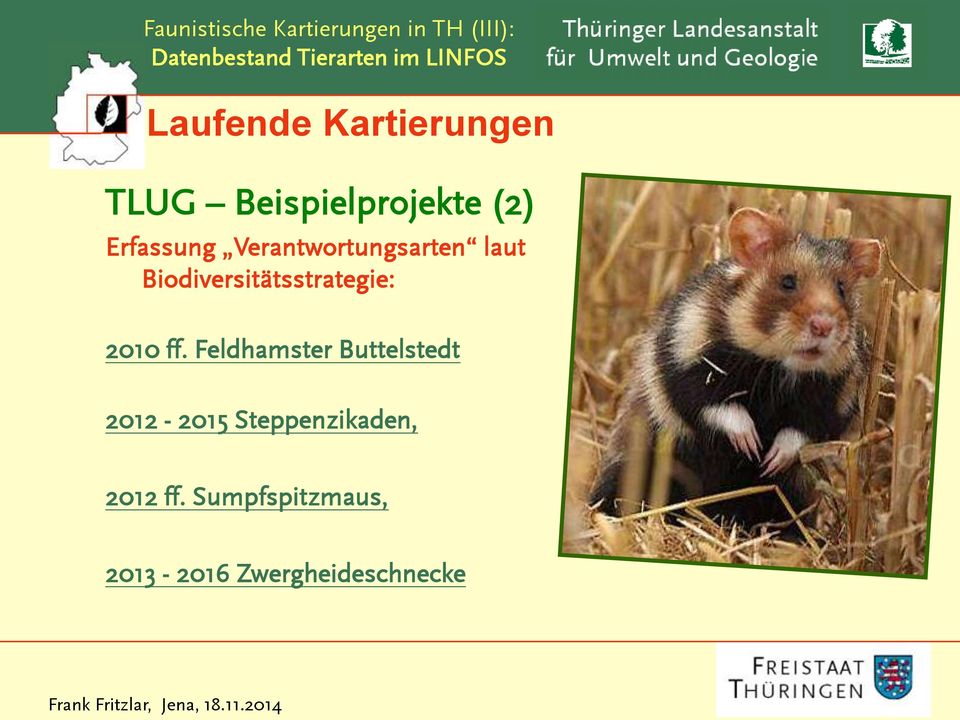 Biodiversitätsstrategie: 2010 ff.