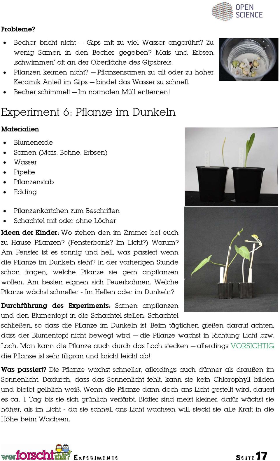 Experiment 6: Pflanze im Dunkeln Materialien Blumenerde Samen (Mais, Bohne, Erbsen) Wasser Pipette Pflanzenstab Edding Pflanzenkärtchen zum Beschriften Schachtel mit oder ohne Löcher Ideen der