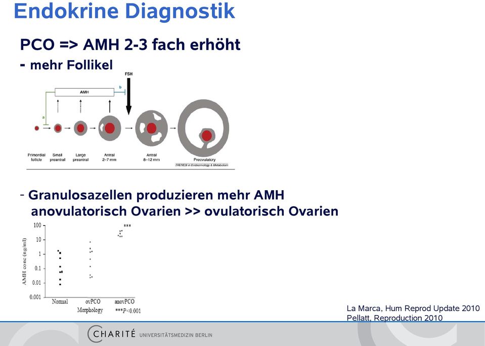 anovulatorisch Ovarien >> ovulatorisch Ovarien La