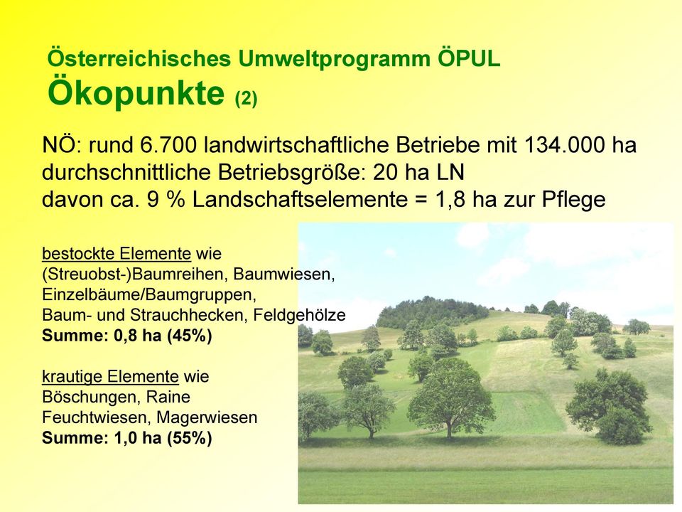 9 % Landschaftselemente = 1,8 ha zur Pflege bestockte Elemente wie (Streuobst-)Baumreihen, Baumwiesen,