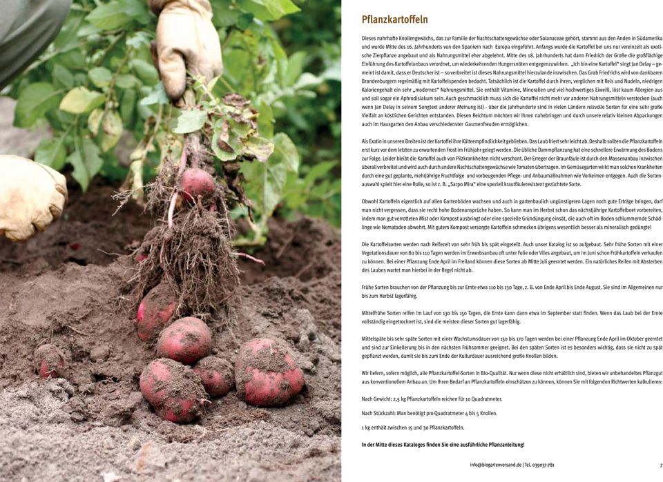 Jahrhunderts hat dann Friedrich der Große die großflächige Einführung des Kartoffelanbaus verordnet, um wiederkehrenden Hungersnöten entgegenzuwirken.