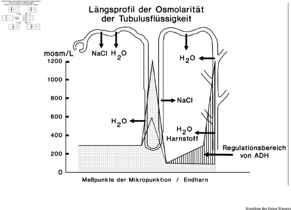 freien