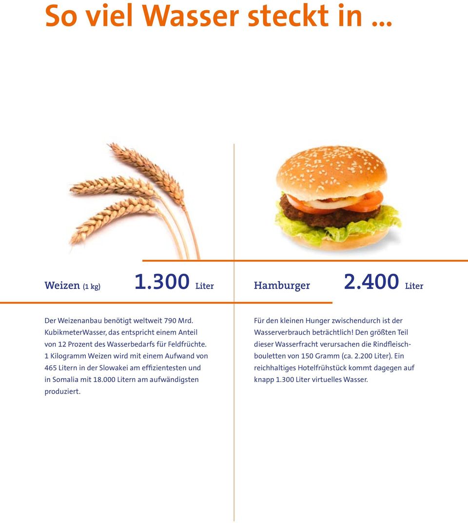 1 Kilogramm Weizen wird mit einem Aufwand von 465 Litern in der Slowakei am effizientesten und in Somalia mit 18.000 Litern am aufwändigsten produziert.