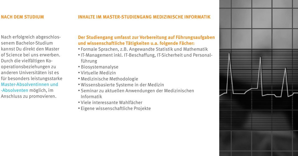 Der Studiengang umfasst zur Vorbereitung auf Führungsaufgaben und wissenschaftliche Tätigkeiten u.a. folgende Fächer: Formale Sprachen, z.b. Angewandte Statistik und Mathematik IT-Management inkl.