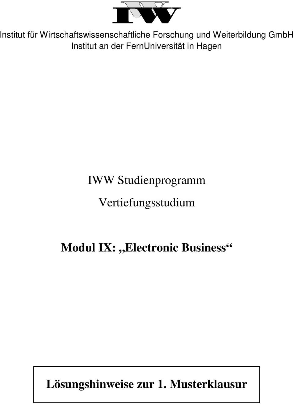 Hagen IWW Studienprogramm Vertiefungsstudium Modul IX: