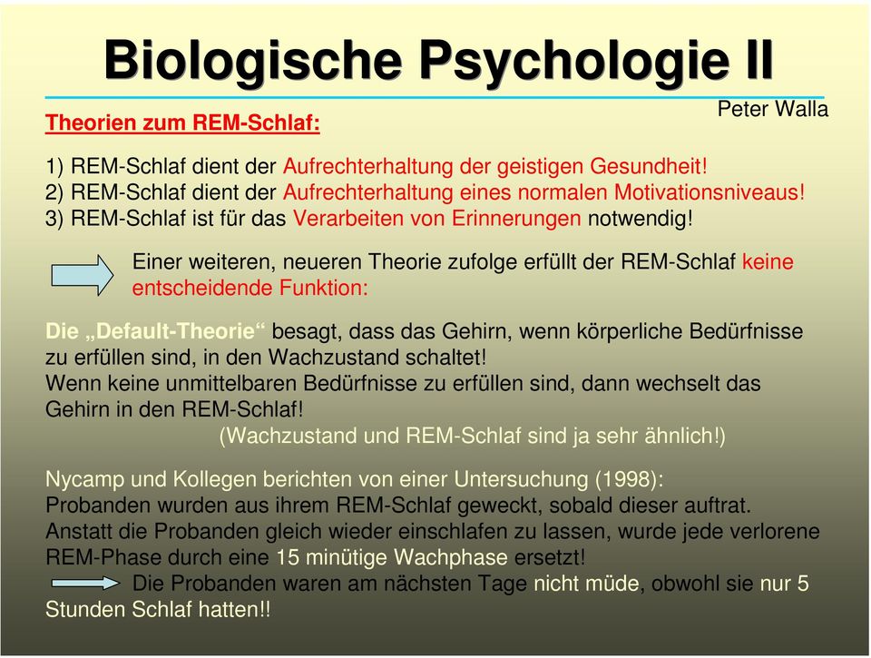 Einer weiteren, neueren Theorie zufolge erfüllt der REM-Schlaf keine entscheidende Funktion: Die Default-Theorie besagt, dass das Gehirn, wenn körperliche Bedürfnisse zu erfüllen sind, in den