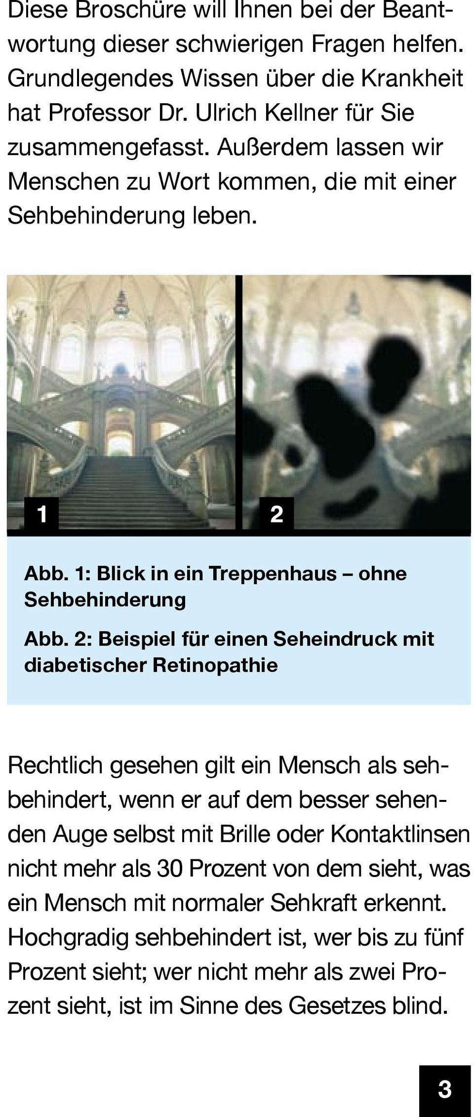 2: Beispiel für einen Seheindruck mit diabetischer Retinopathie Rechtlich gesehen gilt ein Mensch als sehbehindert, wenn er auf dem besser sehenden Auge selbst mit Brille oder