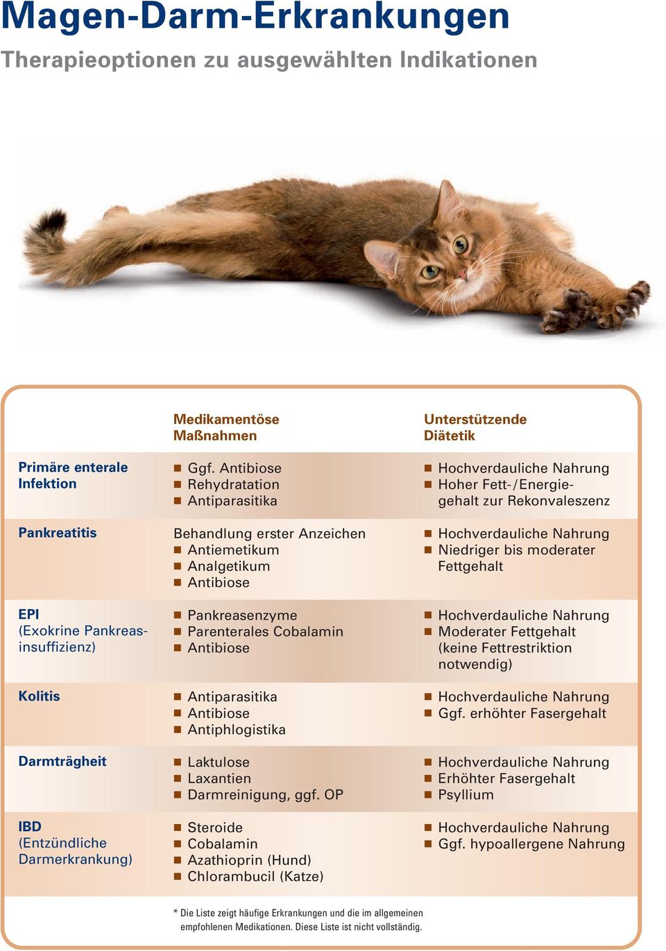 Antibiose Rehydratation Antiparasitika Behandlung erster Anzeichen Antiemetikum Analgetikum Antibiose Pankreasenzyme Parenterales Cobalamin Antibiose Antiparasitika Antibiose Antiphlogistika