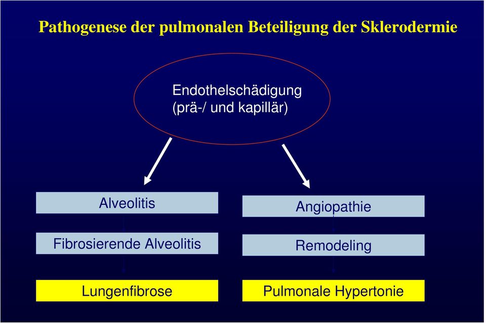 kapillär) Alveolitis Fibrosierende Alveolitis