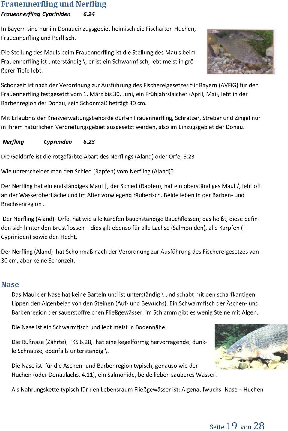 Schonzeit ist nach der Verordnung zur Ausführung des Fischereigesetzes für Bayern (AVFiG) für den Frauennerfling festgesetzt vom 1. März bis 30.