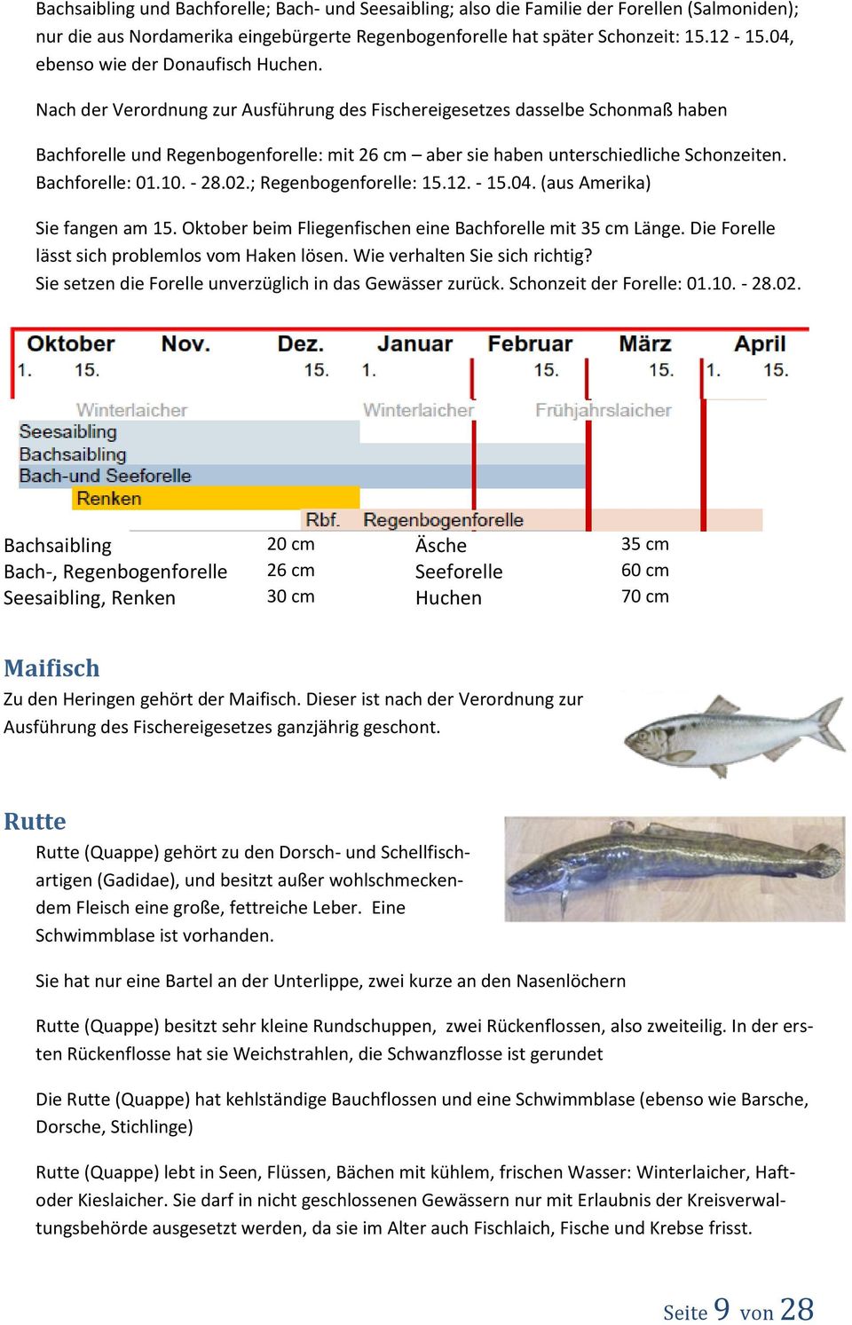 Nach der Verordnung zur Ausführung des Fischereigesetzes dasselbe Schonmaß haben Bachforelle und Regenbogenforelle: mit 26 cm aber sie haben unterschiedliche Schonzeiten. Bachforelle: 01.10. - 28.02.