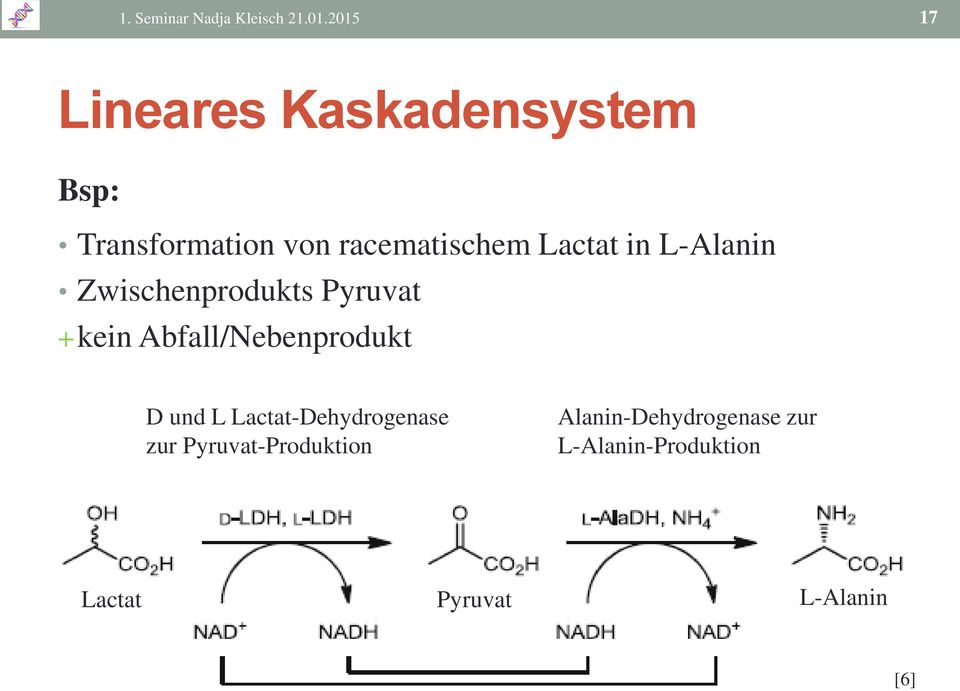 Lactat in L-Alanin Zwischenprodukts Pyruvat + kein Abfall/Nebenprodukt D