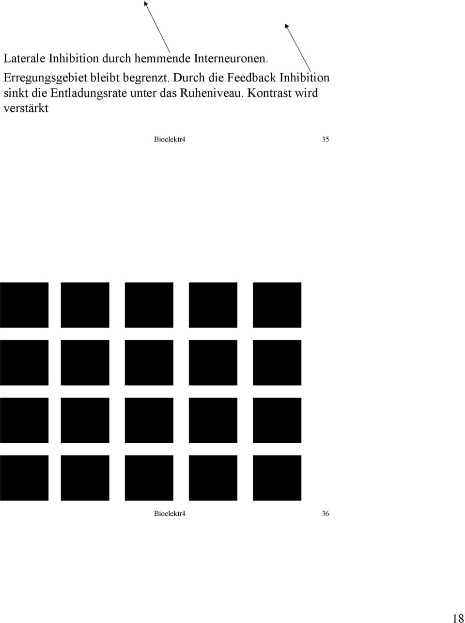 Durch die Feedback Inhibition sinkt die