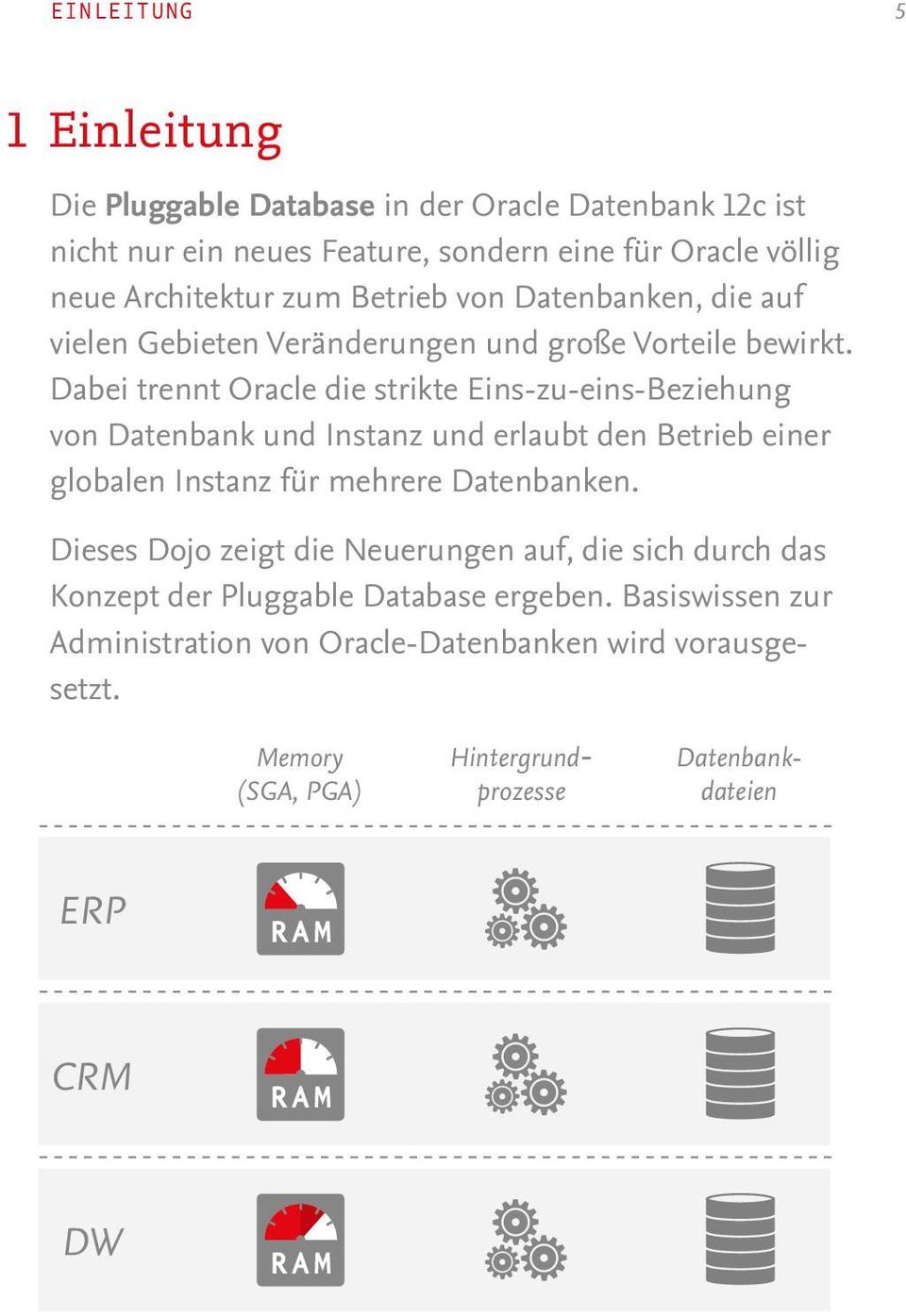 Dabei trennt Oracle die strikte Eins-zu-eins-Beziehung von Datenbank und Instanz und erlaubt den Betrieb einer globalen Instanz für mehrere Datenbanken.