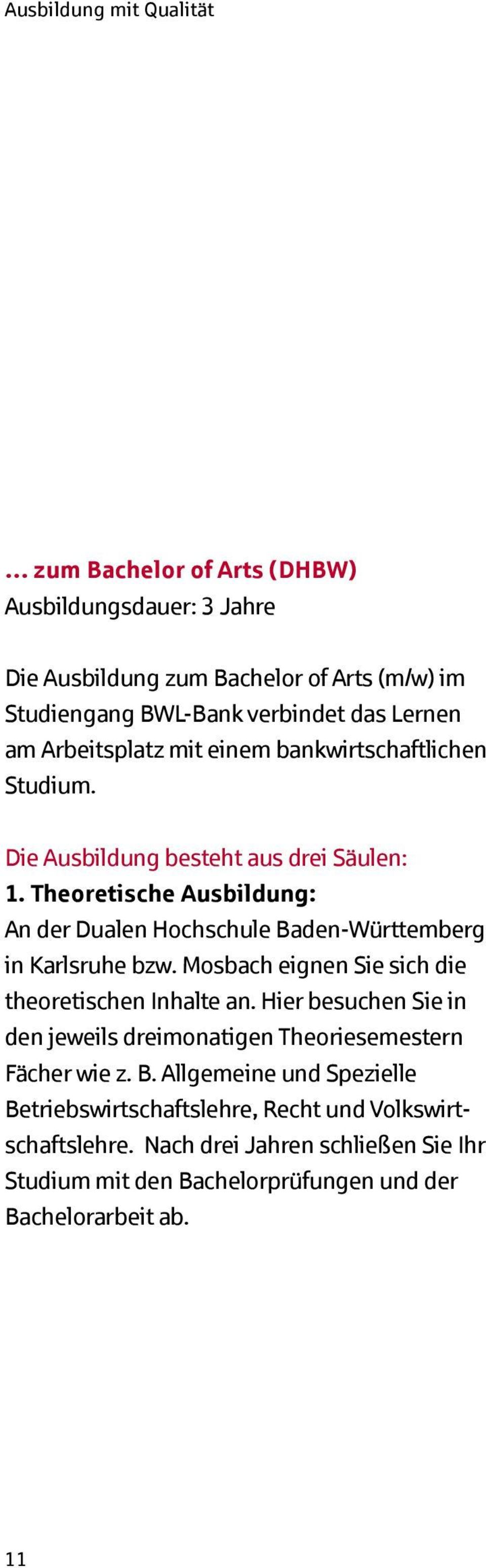 Theoretische Ausbildung: An der Dualen Hochschule Baden-Württemberg in Karlsruhe bzw. Mosbach eignen Sie sich die theoretischen Inhalte an.