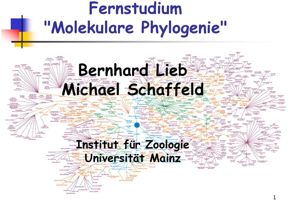 Michael Schaffeld Institut