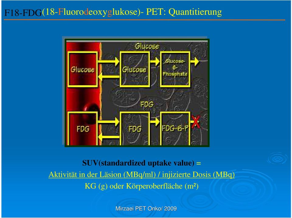 value) = Aktivität in der Läsion (MBq/ml) /