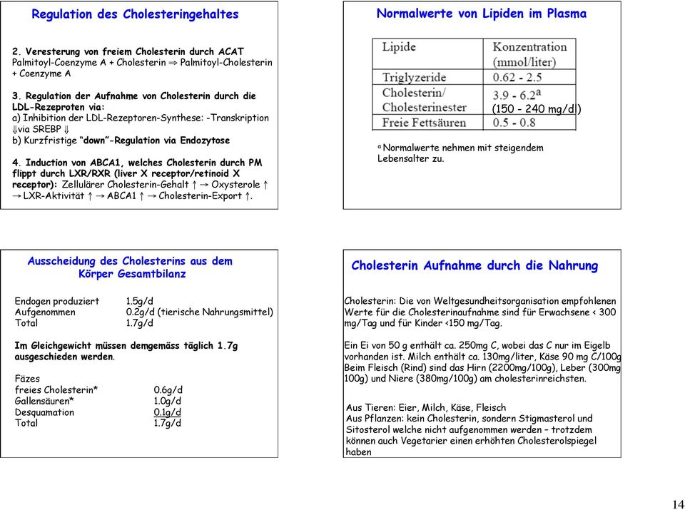 Induction von ABCA1, welches Cholesterin durch PM flippt durch LXR/RXR (liver X receptor/retinoid X receptor): Zellulärer Cholesterin-Gehalt Oxysterole LXR-Aktivität ABCA1 Cholesterin-Export.