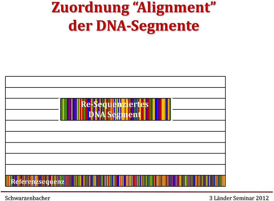 Re-Sequenziertes DNA