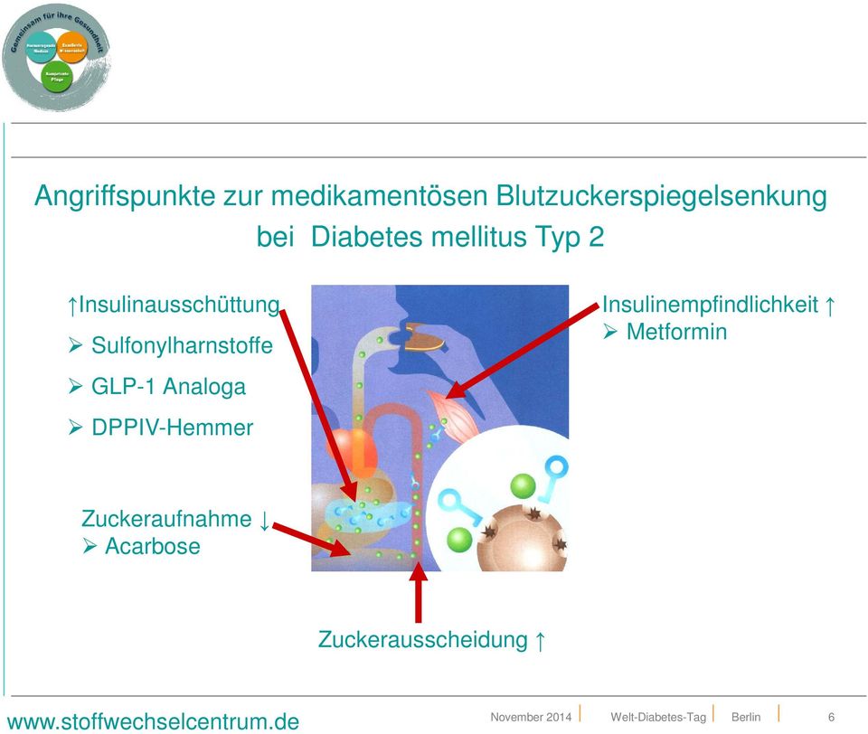 Insulinempfindlichkeit Metformin GLP-1 Analoga DPPIV-Hemmer