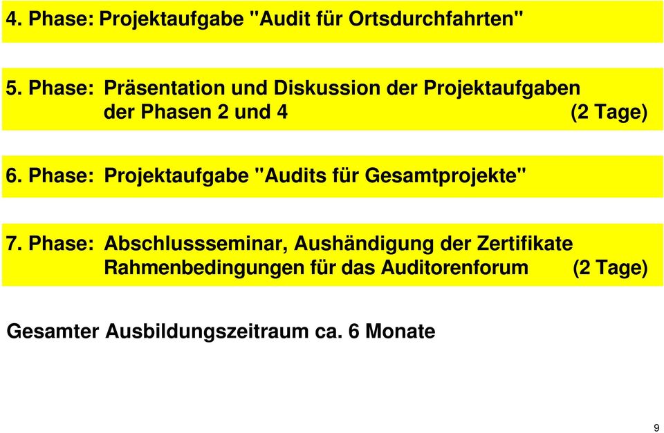 Phase: Projektaufgabe "Audits für Gesamtprojekte" 7.