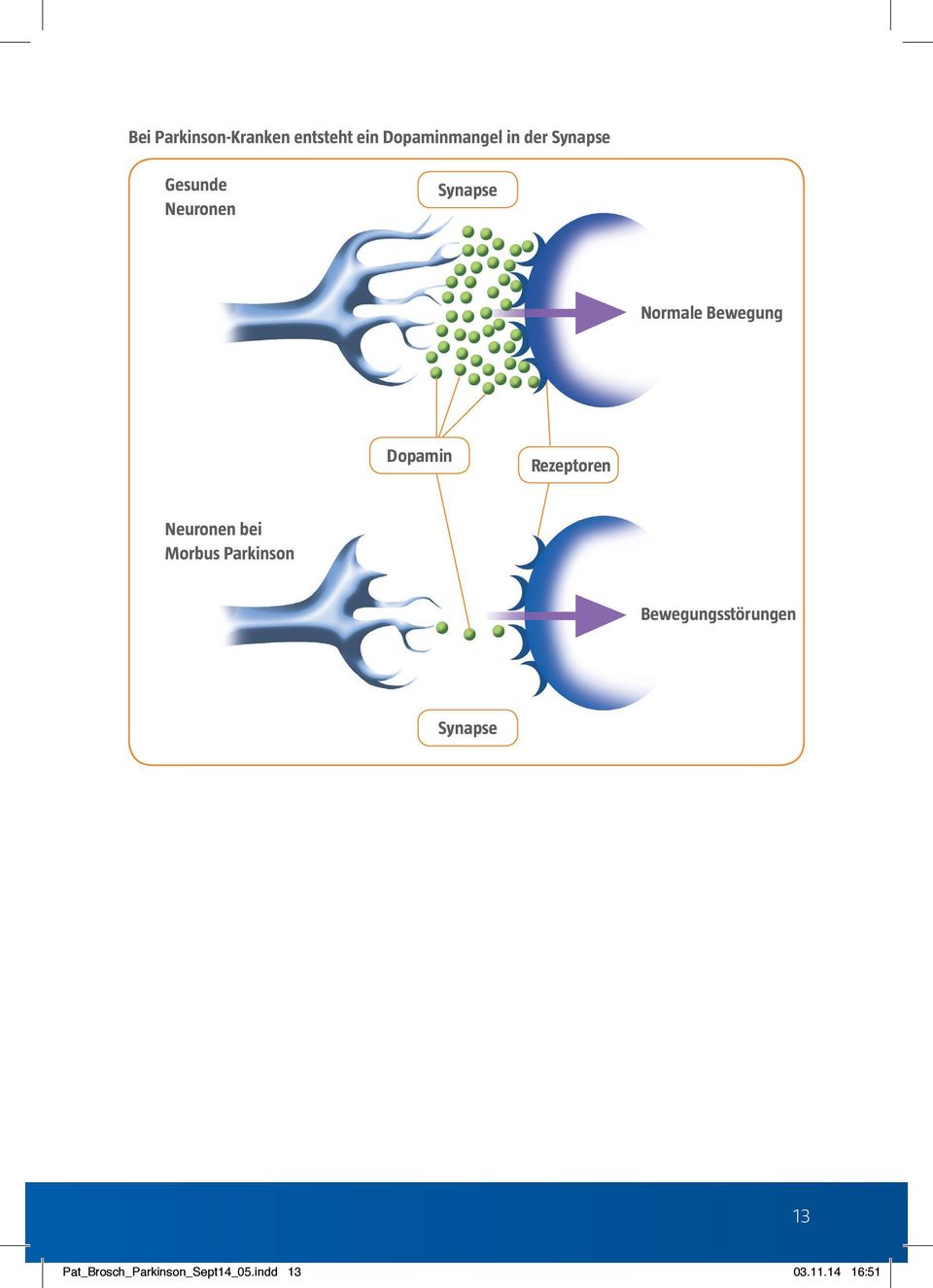 Rezeptoren Neuronen bei Morbus Parkinson Bewegungsstörungen