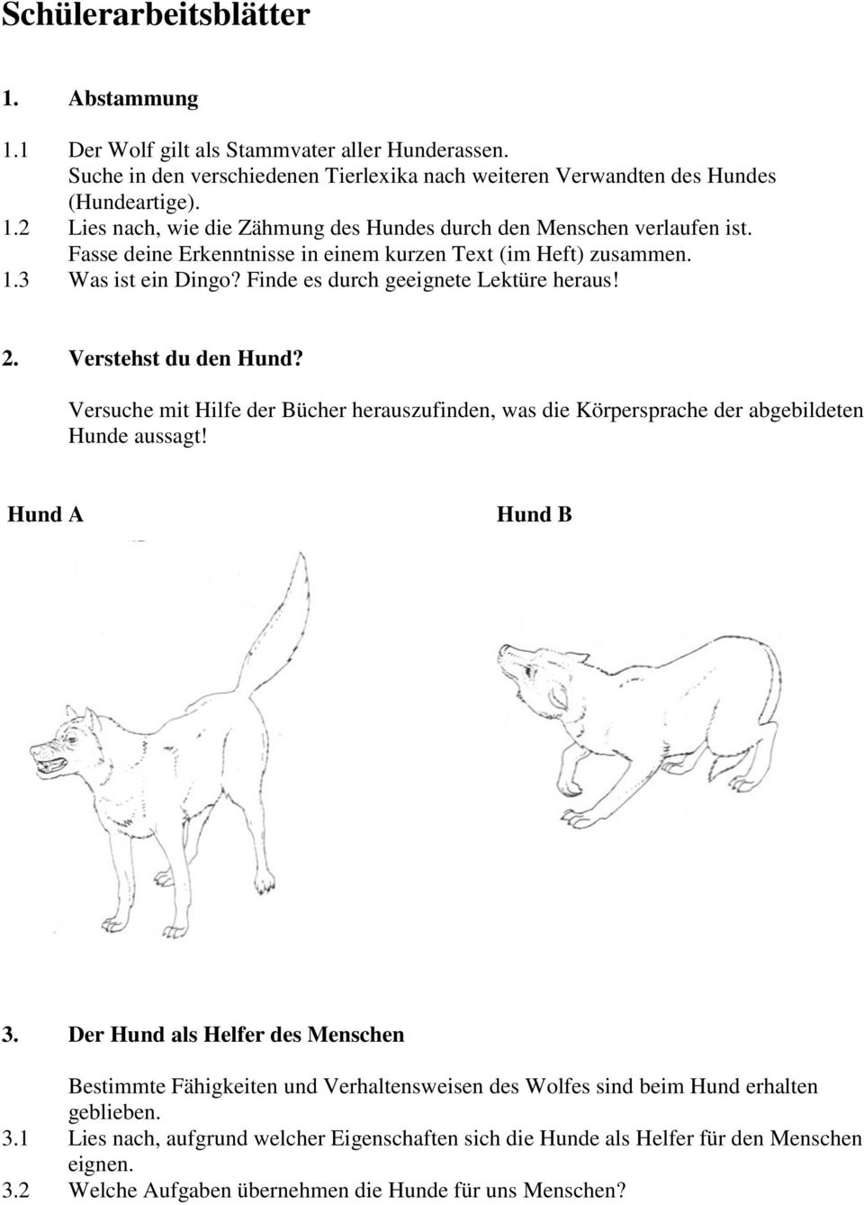 Versuche mit Hilfe der Bücher herauszufinden, was die Körpersprache der abgebildeten Hunde aussagt! Hund A Hund B 3.