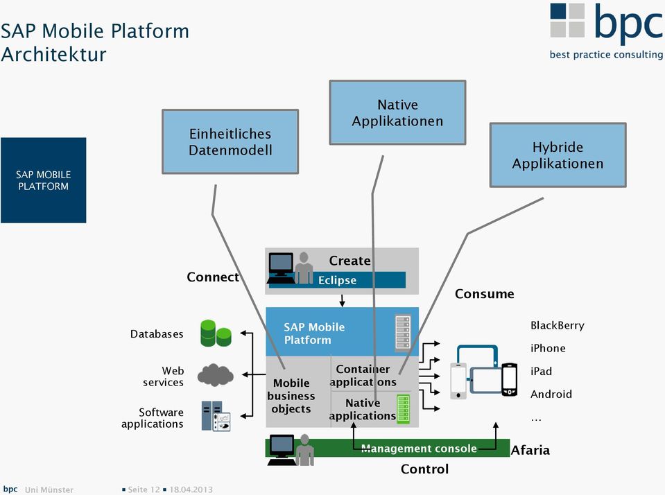 Platform BlackBerry iphone Web services Software applications Mobile business objects