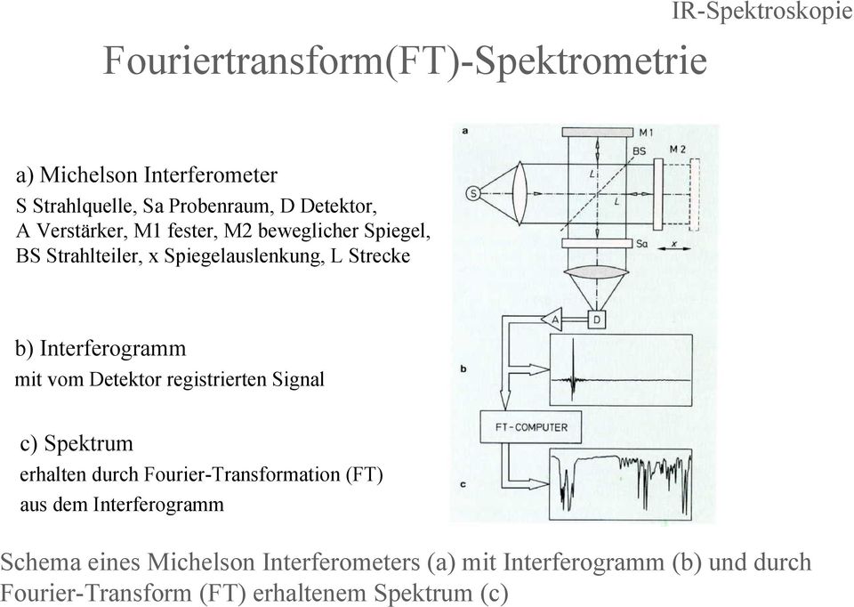 Interferogramm mit vom Detektor registrierten Signal c) Spektrum erhalten durch Fourier-Transformation (FT) aus dem