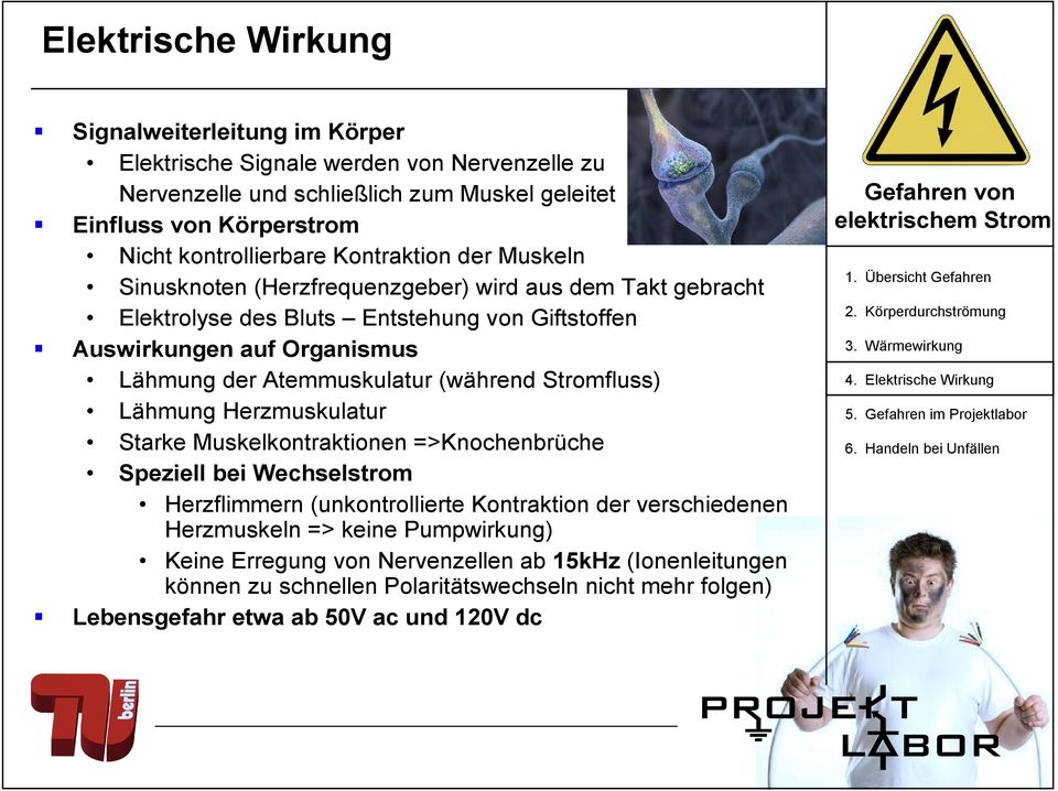 der Atemmuskulatur (während Stromfluss) Lähmung Herzmuskulatur Starke Muskelkontraktionen =>Knochenbrüche Speziell bei Wechselstrom Herzflimmern (unkontrollierte Kontraktion der