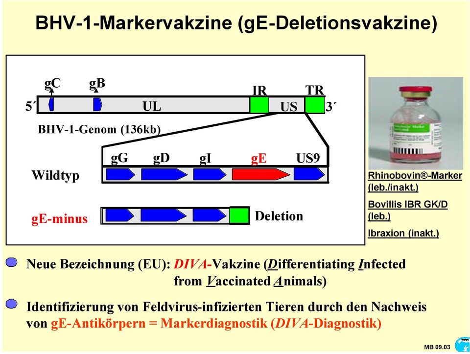 ) Neue Bezeichnung (EU): DIVA-Vakzine (Differentiating Infected from Vaccinated Animals) Identifizierung