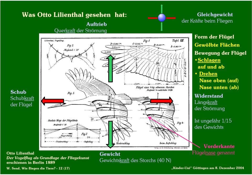 Strömung Ist ungefähr 1/15 des Gewichts Otto Lilienthal Der Vogelflug als Grundlage der Fliegekunst erschienen in Berlin 1889 Gewicht