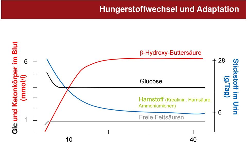 Glucose Harnstoff (Kreatinin, Harnsäure,