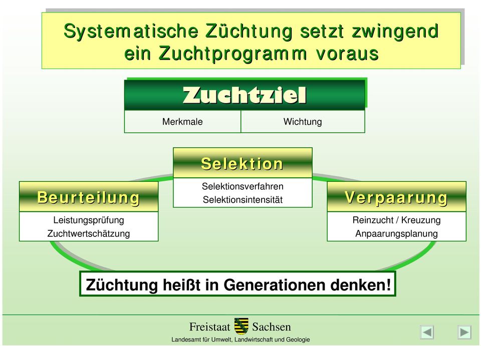 Zuchtwertschätzung Selektion Selektionsverfahren Selektionsintensität