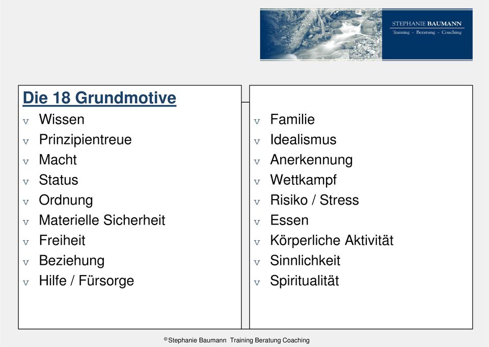 Fürsorge v Familie v Idealismus v Anerkennung v Wettkampf v Risiko