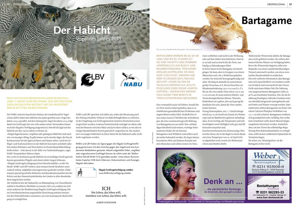 Der NABU und sein bayerischer Partner, der Landesbund für Vogelschutz (LBV), haben den Habicht (Accipiter gentilis) zum»vogel des Jahres 2015«gewählt.