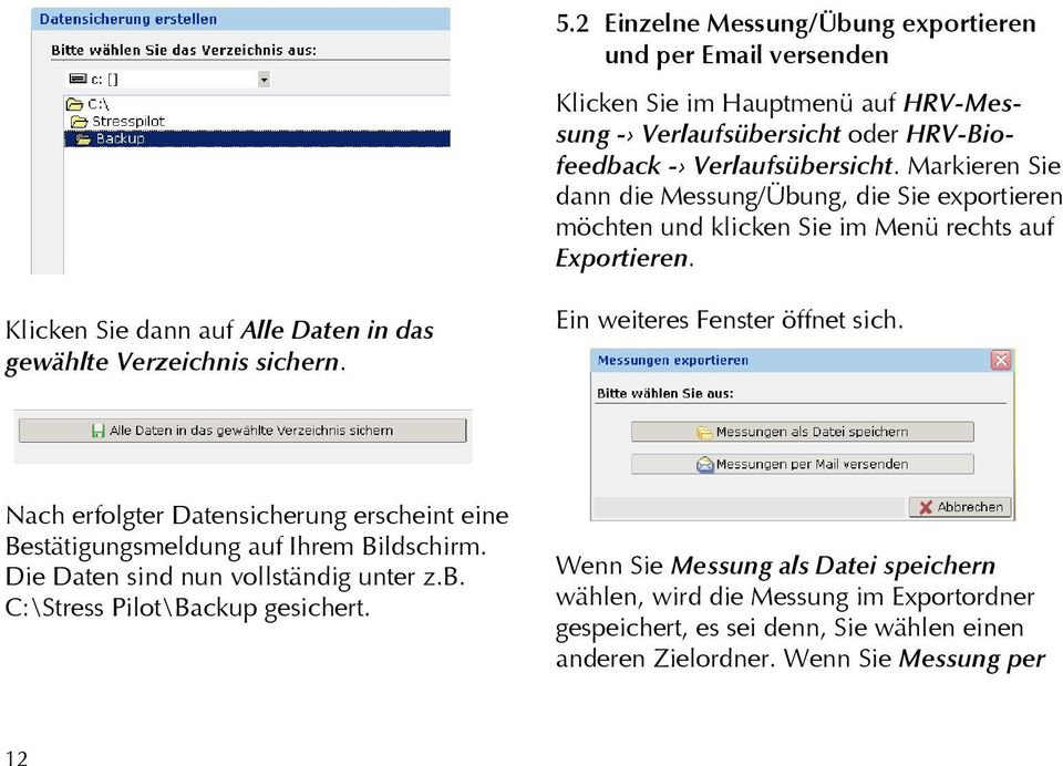 Klicken Sie dann auf Alle Daten in das gewählte Verzeichnis sichern. Ein weiteres Fenster öffnet sich.