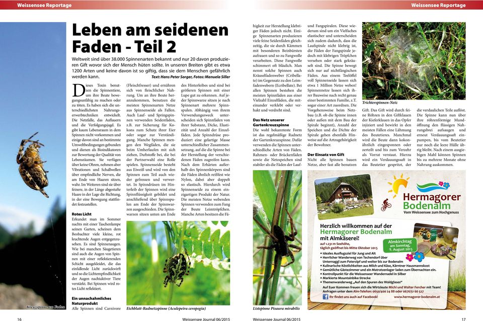 Text: Hans Peter Sorger, Fotos: Manuela Siller Dieses Toxin benutzen die Spinnentiere, um ihre Beute bewegungsunfähig zu machen oder zu töten.