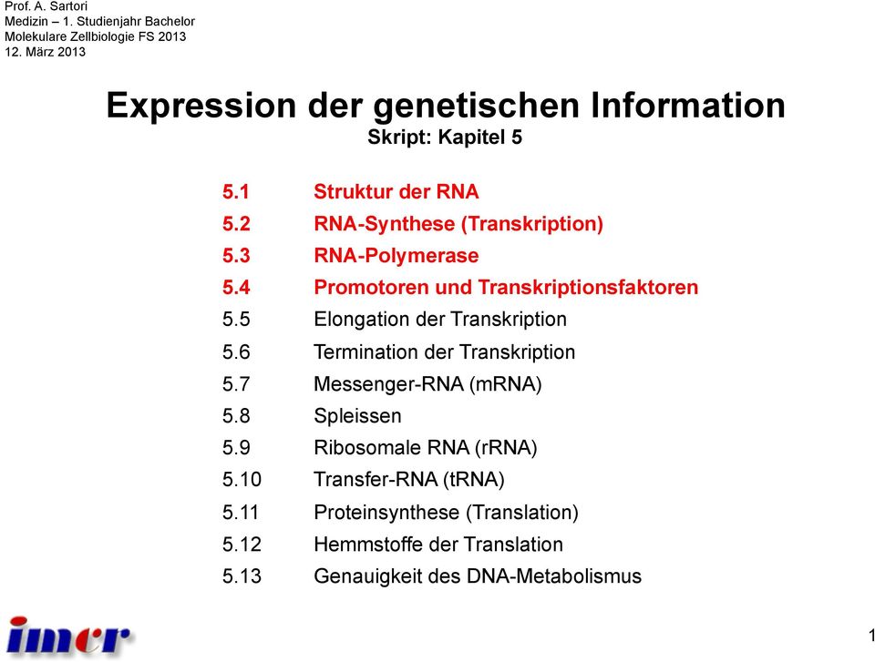 3 RNA-Polymerase 5.4 Promotoren und Transkriptionsfaktoren 5.5 Elongation der Transkription 5.6 Termination der Transkription 5.