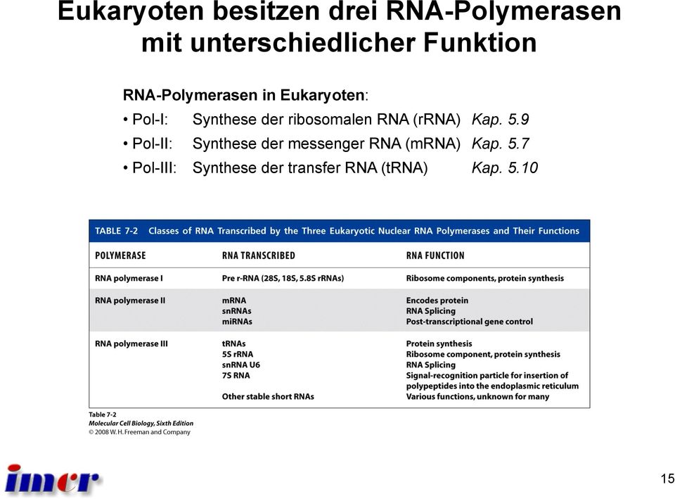 ribosomalen RNA (rrna) Kap. 5.