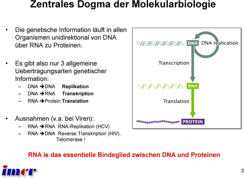 Es gibt also nur 3 allgemeine Uebertragungsarten genetischer Information: DNA è DNA Replikation DNA è RNA