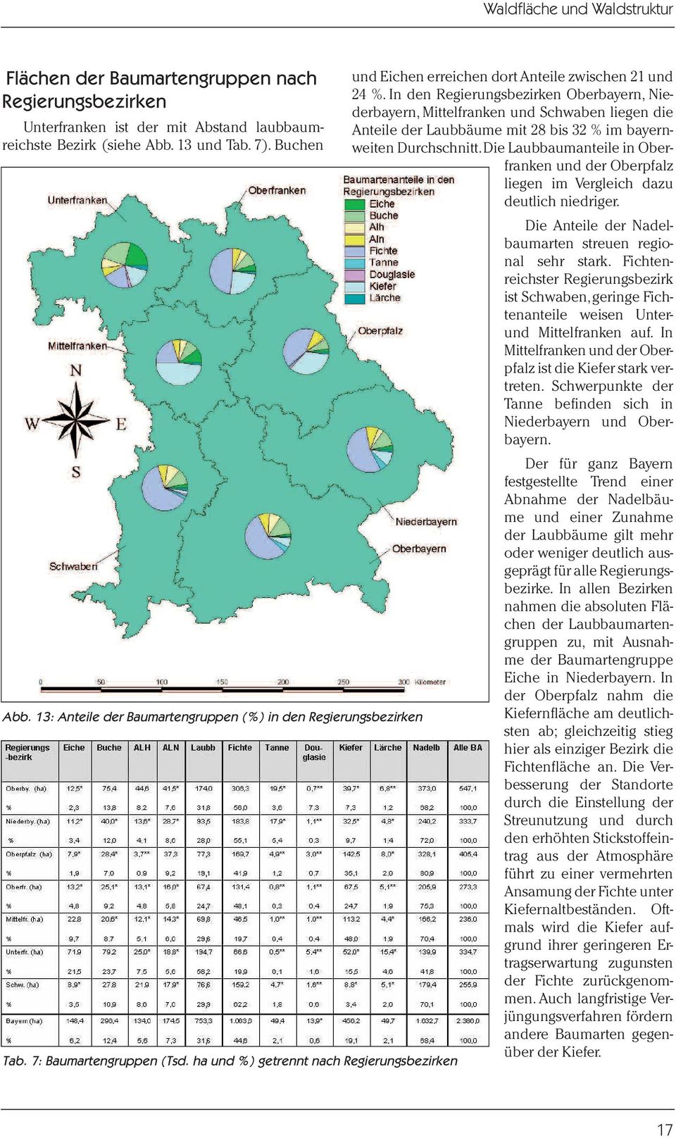 In den Regierungsbezirken Oberbayern, Niederbayern, Mittelfranken und Schwaben liegen die Anteile der Laubbäume mit 28 bis 32 % im bayernweiten Durchschnitt.