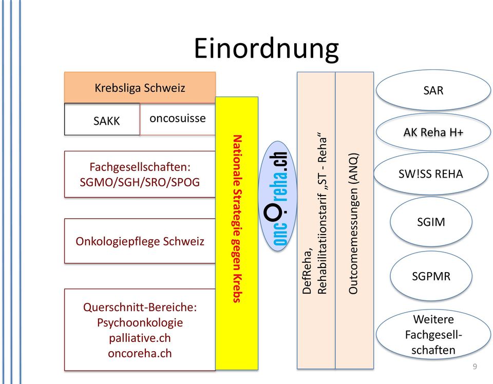 Onkologiepflege Schweiz Querschnitt-Bereiche: Psychoonkologie palliative.