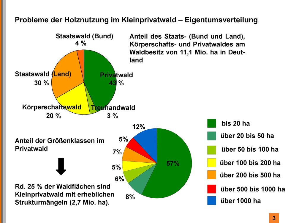 ha in Deutland Staatswald (Land) 30 % Privatwald 43 % Körperschaftswald 20 % Anteil der Größenklassen im Privatwald Treuhandwald 3 % 7% 5%